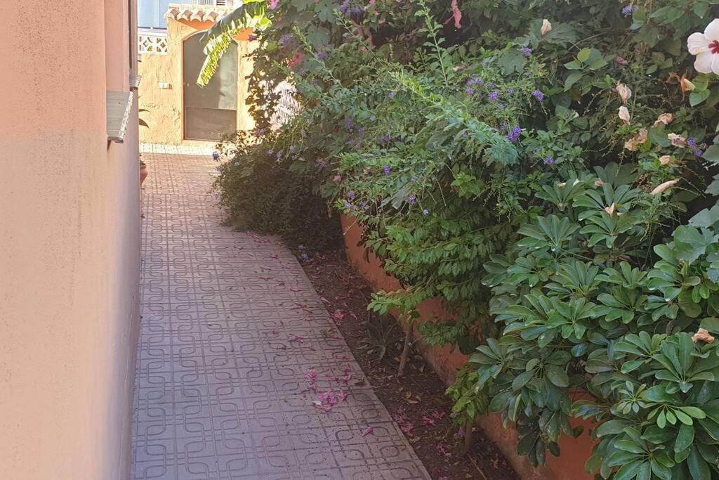 Casa Hurtado De Mendoza Pequena Almuñécar Exteriér fotografie